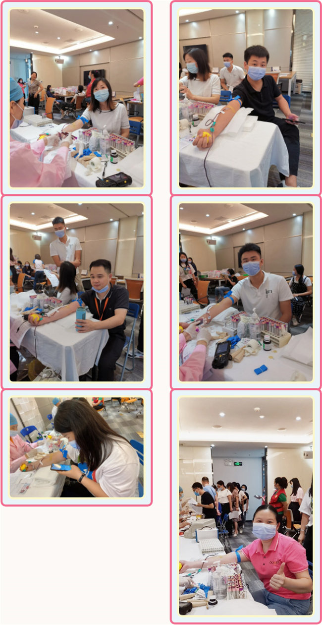 捐獻青春熱血，彩繪人生畫卷&mdash;&mdash;廣東博皓總班委組織了一次&ldquo;捐我熱血，呵護生命&rdquo;的無償獻血公益活動    -3