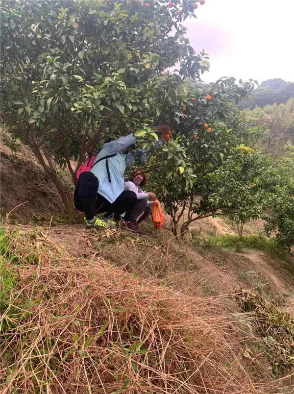 博行天下俱樂部走進從化十登的第二峰-雞枕山 -18