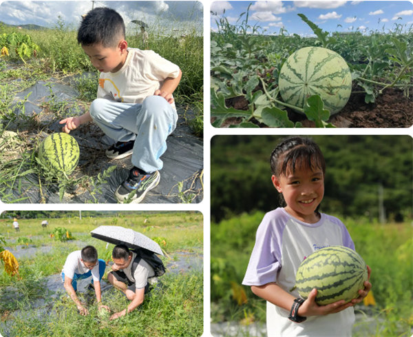 趣游盛夏，一路童行&mdash;2024年廣東博皓親子游   -12
